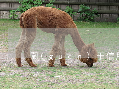 關(guān)于信用卡逾期的文案