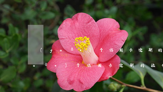 關(guān)于信用卡逾期的法律(關(guān)于信用卡逾期的法律)