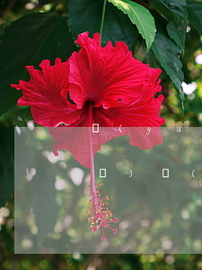 關(guān)于信用卡逾期的法規(guī)(關(guān)于信用卡逾期的法規(guī)案例)
