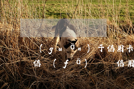 關(guān)于信用卡逾期的短信通知(短信發(fā)來說信用卡逾期)