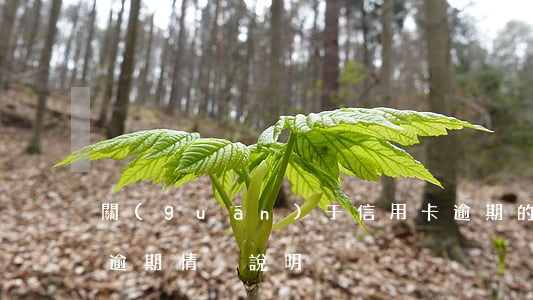 關(guān)于信用卡逾期的說明(銀行卡逾期情況說明)