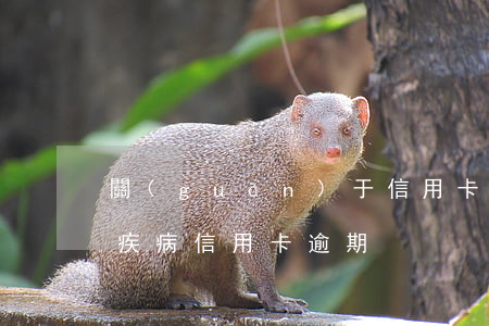 關(guān)于信用卡逾期重組-因重大疾病信用卡逾期