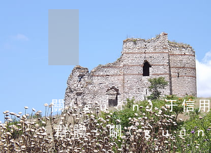 關(guān)于信用我們屬于哪一類逾期群體-關(guān)于信用我們屬于哪一類逾期群體的說法