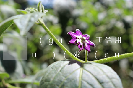 關(guān)于信用評級的法律法規(guī)(求關(guān)于我國對企業(yè)信用等級評級的法律法規(guī)或者相關(guān)文件)