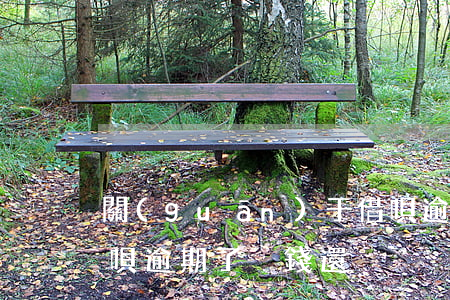 關(guān)于借唄逾期還不上的視頻(借唄逾期了沒錢還)