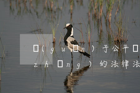 關(guān)于公平競(jìng)爭(zhēng)的法律法規(guī)規(guī)定(關(guān)于公平競(jìng)爭(zhēng)和市場(chǎng)秩序建設(shè)方面的法律)
