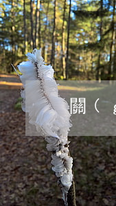 關(guān)于其信用卡逾期欠款案件