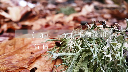 關(guān)于刷信用卡不還會怎么樣(刷銀行信用卡不還錢怎么樣)