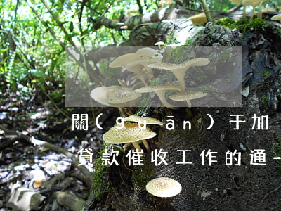 關(guān)于加強(qiáng)逾期貸款催收工作的通-關(guān)于加強(qiáng)逾期貸款催收工作的通知