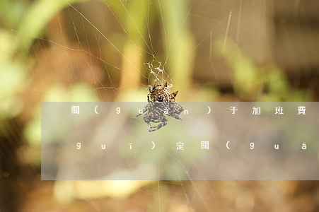 關(guān)于加班費(fèi)的規(guī)定(關(guān)于節(jié)假日加班費(fèi)規(guī)定)