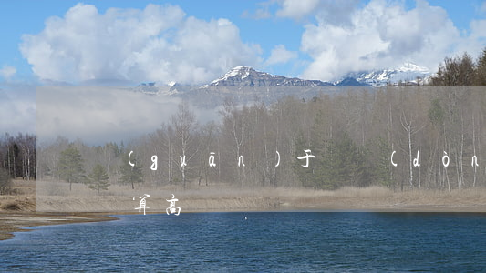 關(guān)于勞動(dòng)法律師勝算高嗎