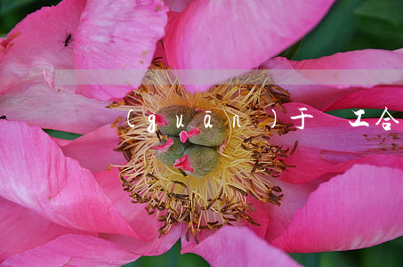 關(guān)于員工合同模板匯總8篇