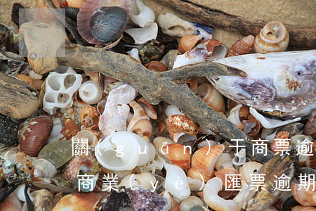 關(guān)于商票逾期的律師函怎么寫(商業(yè)匯票逾期理由怎么寫)