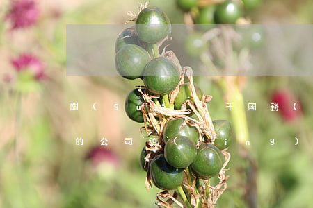關(guān)于國務(wù)院管理干部的公司領(lǐng)導(dǎo)職數(shù)等若干問題的規(guī)定