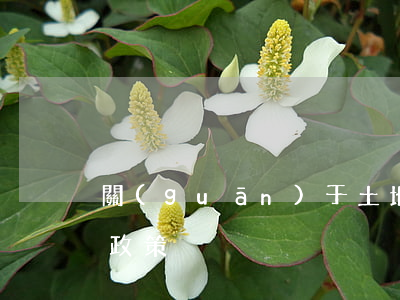 關(guān)于土地流轉(zhuǎn)政策