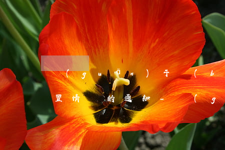 關(guān)于報(bào)送逾期未安置情況的通知-關(guān)于報(bào)送逾期未安置情況的通知怎么寫(xiě)