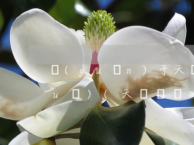 關(guān)于天貓國際的法律法規(guī)(天貓國際晚到必賠怎么申請賠款)