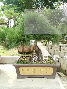 關(guān)于實(shí)習(xí)合同模板匯總7篇