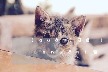 關(guān)于建設(shè)工程非法轉(zhuǎn)包違法分包
