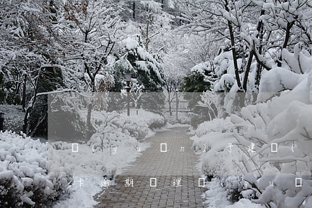 關(guān)于建設(shè)銀行信用卡逾期處理(關(guān)于建設(shè)銀行信用卡逾期處理)