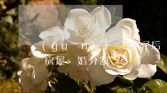 關(guān)于強遷房子后離婚怎么分(拆遷房屋離婚分割)
