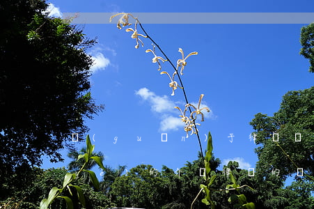關(guān)于律師這個(gè)職業(yè)的介紹(律師的職業(yè)是什么)