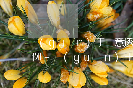 關(guān)于惡意透支信用卡的法律條例-關(guān)于惡意透支信用卡的法律條例有哪些