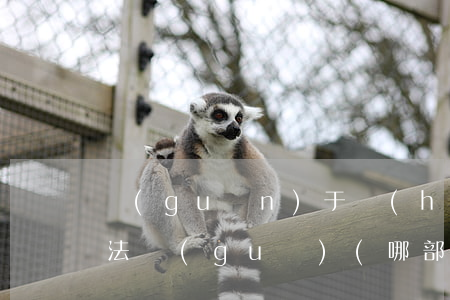 關(guān)于戶(hù)籍制度的法律法規(guī)(哪部法律規(guī)定戶(hù)籍)