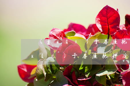 關(guān)于房屋抵押逾期還款(關(guān)于房屋抵押逾期還款)