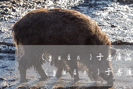 關(guān)于房屋漏水糾紛的最新法律(關(guān)于房屋漏水糾紛的最新法律是從入伙算還是入住算)