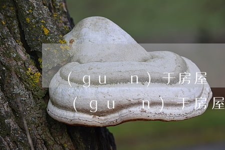 關(guān)于房屋糾紛的最新法律條款(關(guān)于房屋產(chǎn)權(quán)糾紛的最新法律)