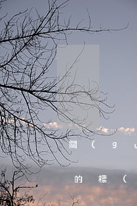 關(guān)于找律師起訴費(fèi)的標(biāo)準(zhǔn)怎么算(律師費(fèi)和起訴費(fèi)怎么算)