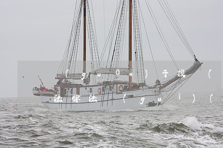 關(guān)于投標(biāo)報名的法律法規(guī)(關(guān)于招投標(biāo)法的法律法規(guī))