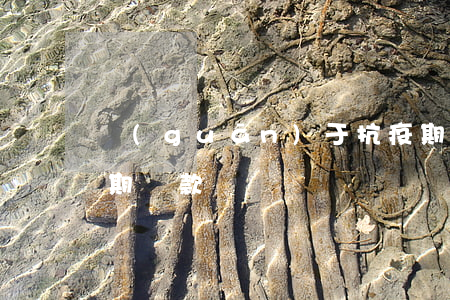 關(guān)于抗疫期間還款逾期(疫情延期還款)
