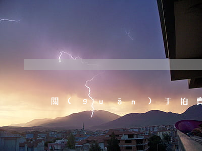 關(guān)于拍賣