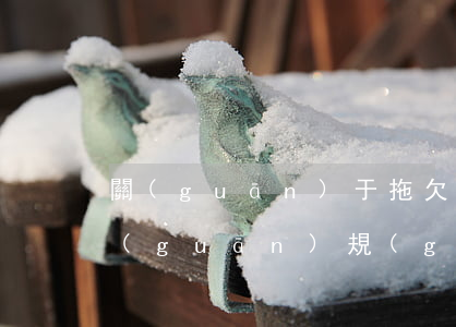 關(guān)于拖欠民企逾期賬款的有關(guān)規(guī)定-關(guān)于拖欠民企逾期賬款的有關(guān)規(guī)定有哪些