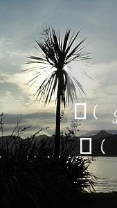 關(guān)于搶劫罪的八個(gè)觀點(diǎn)