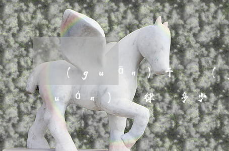 關(guān)于撫養(yǎng)權(quán)請律師多少錢(請律師要撫養(yǎng)費需要給律師多少錢)