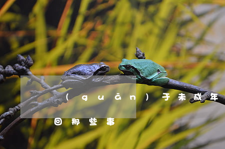 關(guān)于未成年人巨額打賞能否追回那些事兒