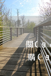 關(guān)于東山縣水產(chǎn)購(gòu)銷第三經(jīng)理部破產(chǎn)清算報(bào)告破產(chǎn)清算小