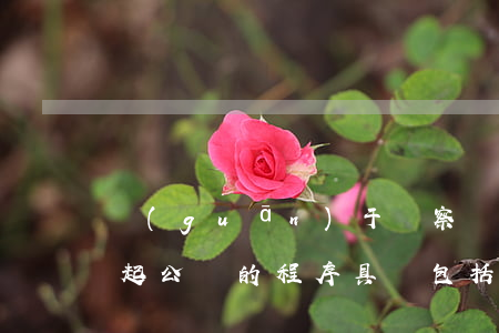 關(guān)于檢察機關(guān)提起公訴的程序具體包括哪些