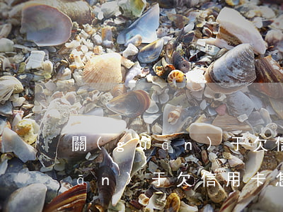 關(guān)于欠信用卡怎么還(關(guān)于欠信用卡怎么還)
