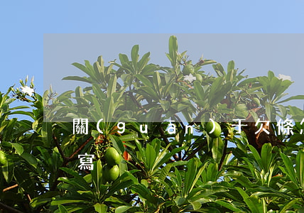 關(guān)于欠條怎么寫合適(欠條 怎么寫)