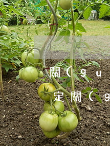關(guān)于欠款的法律規(guī)定(關(guān)于欠款的法律規(guī)定怎么寫)