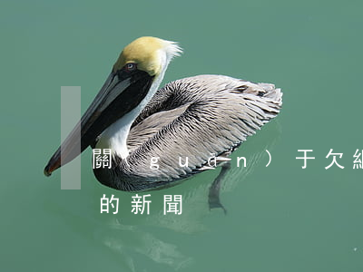 關(guān)于欠網(wǎng)貸不還的新聞