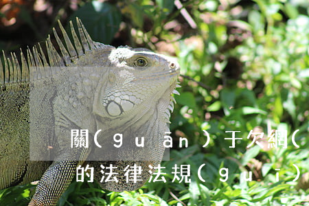 關(guān)于欠網(wǎng)貸不還的法律法規(guī)(法律對于網(wǎng)貸不還的規(guī)定)