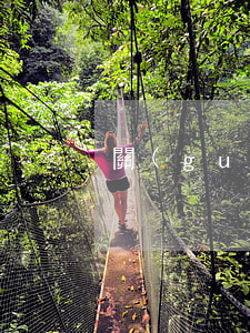 關(guān)于法律的知識(法律小常識)
