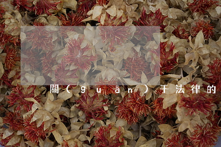 關(guān)于法律的知識(法律知識大全)