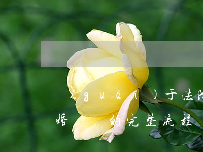 關(guān)于法院離婚的程序是什么（離婚訴訟的完整流程）