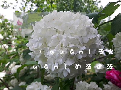 關(guān)于火災(zāi)相關(guān)的法律法規(guī)(消防法律法規(guī)有哪些)
